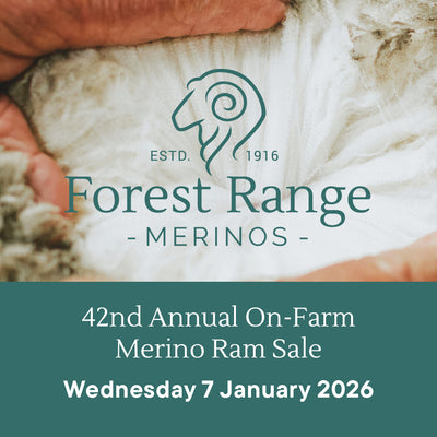 2026 Ram Sale Catalogue - Free Excel download