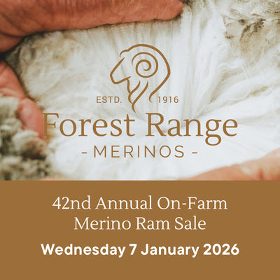 2026 Ram Sale Catalogue - Free PDF download